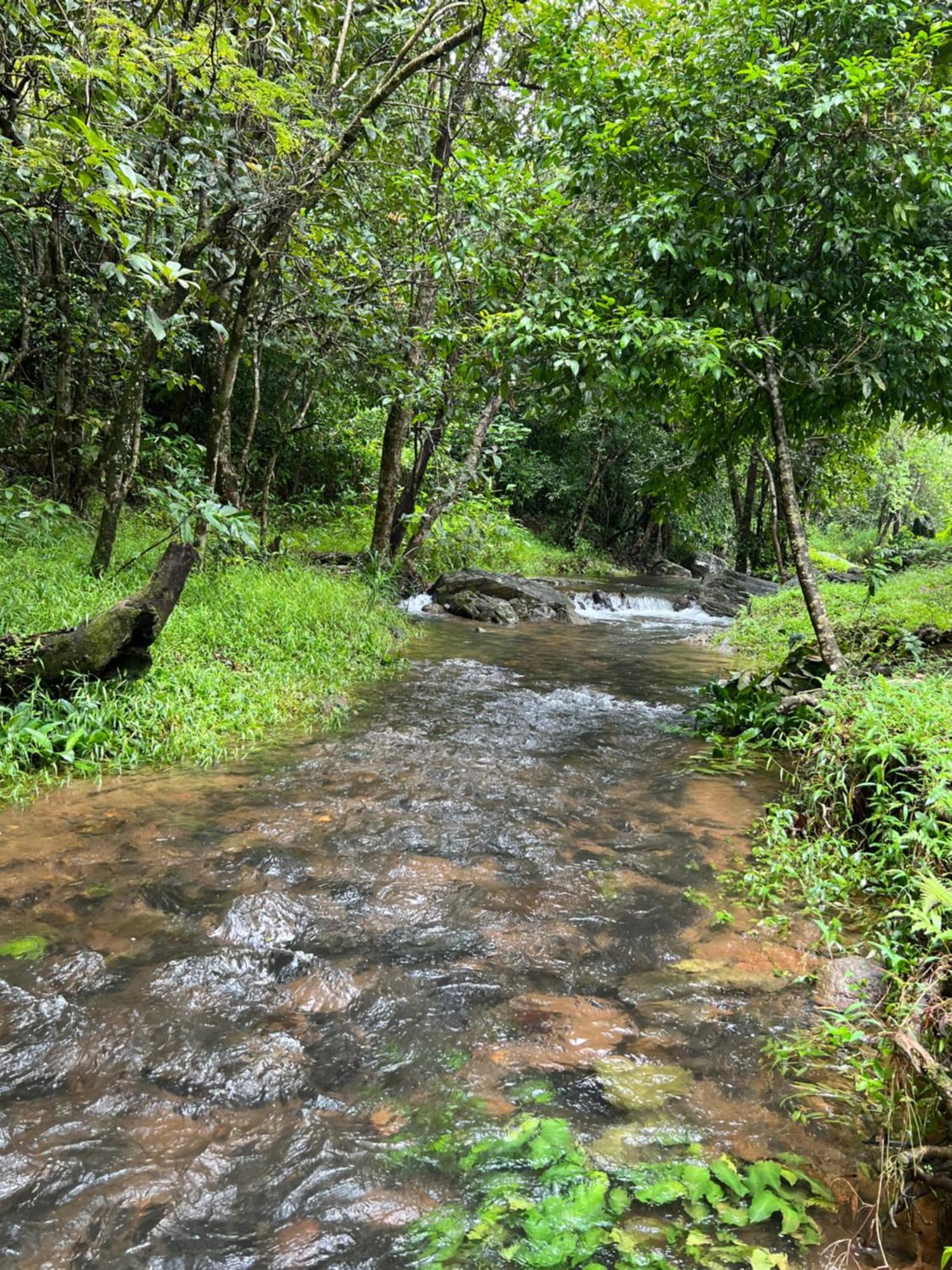 Abad Brookside Wayanad Hotel Vythiri Exterior photo